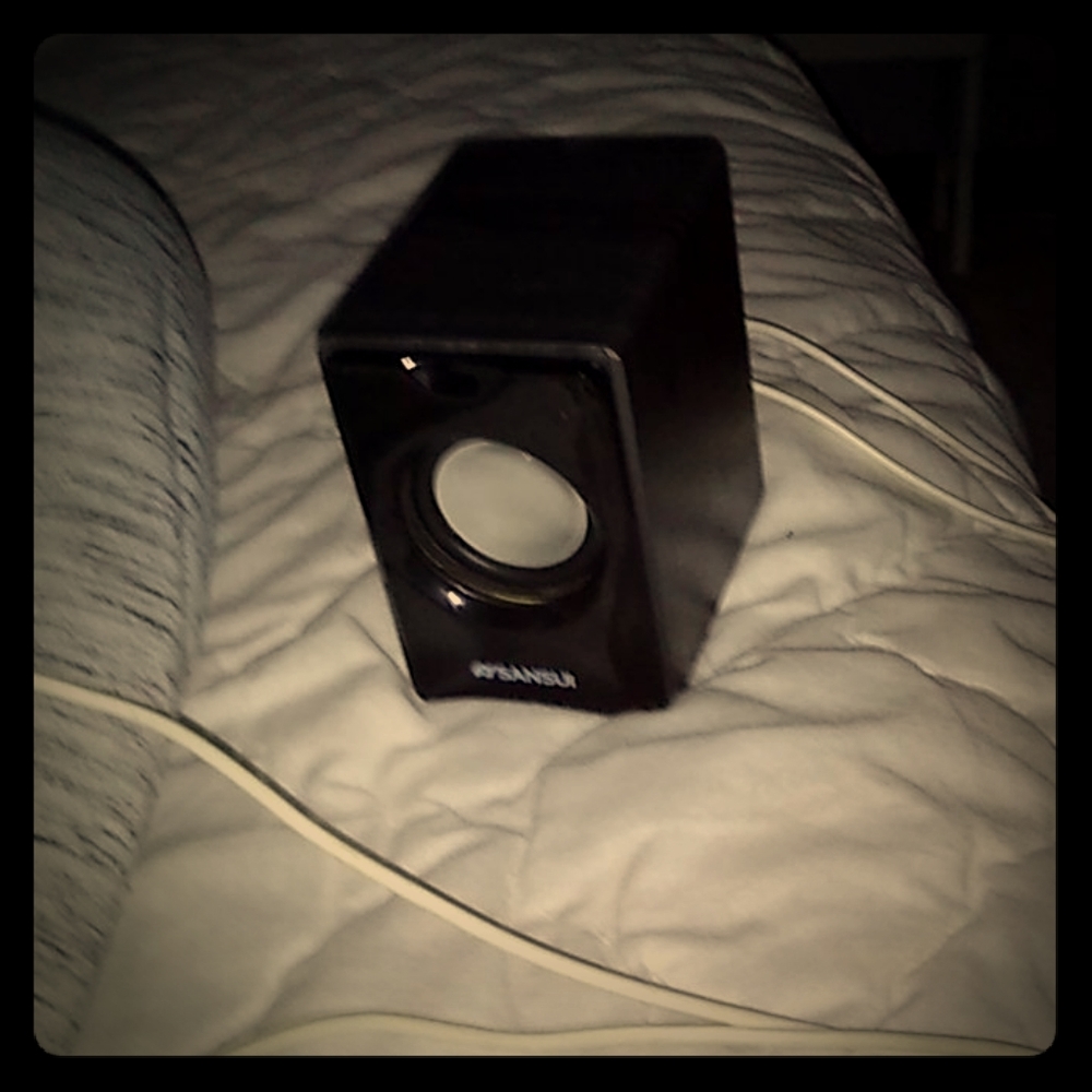 Speaker